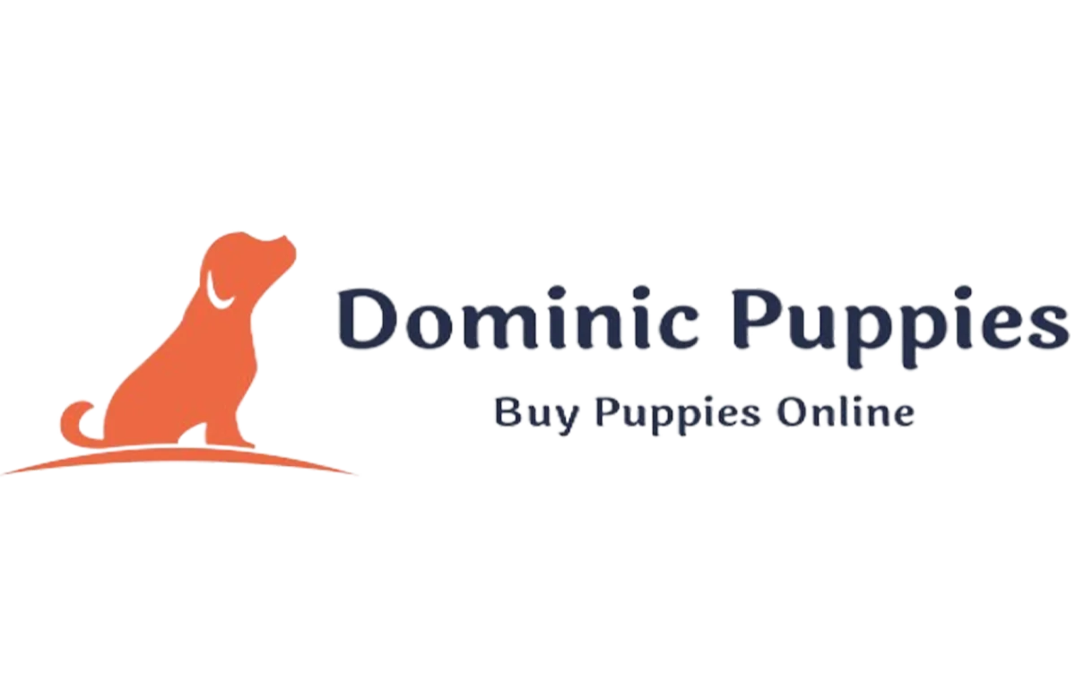 Dominic Puppies